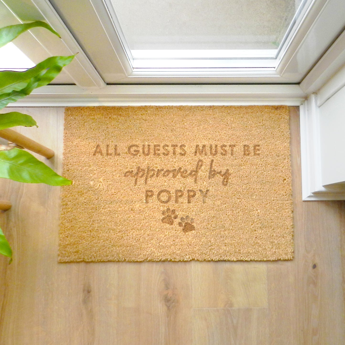 APPROVED BY THE PET DOORMAT