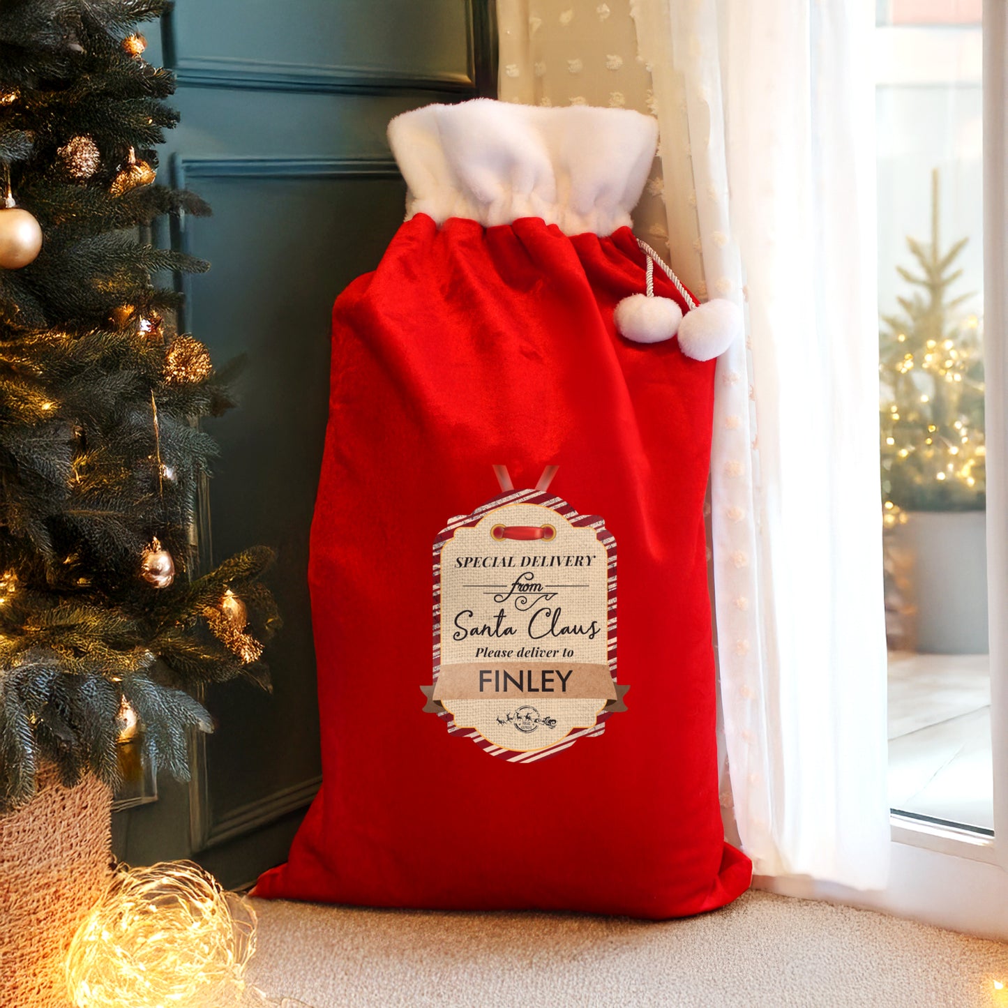 SPECIAL DELIVERY SACK
