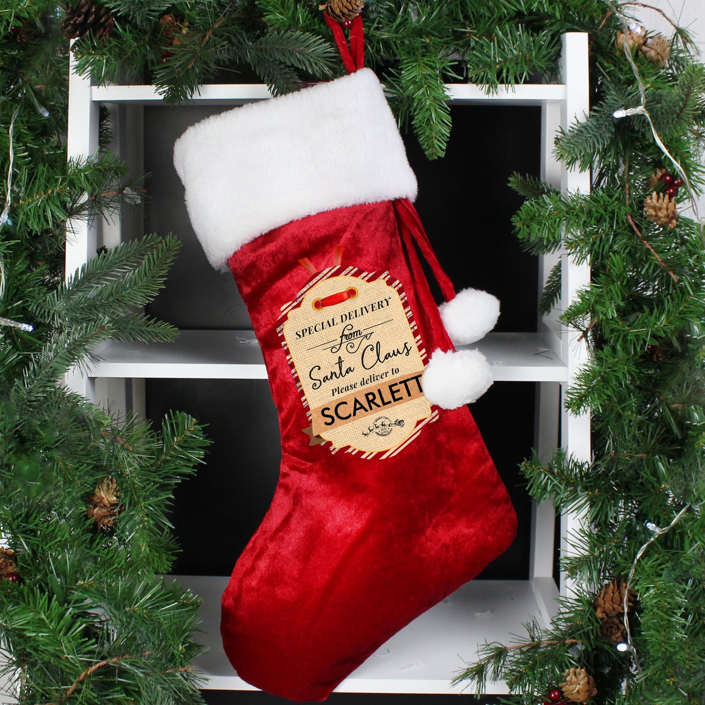 SPECIAL DELIVERY STOCKING