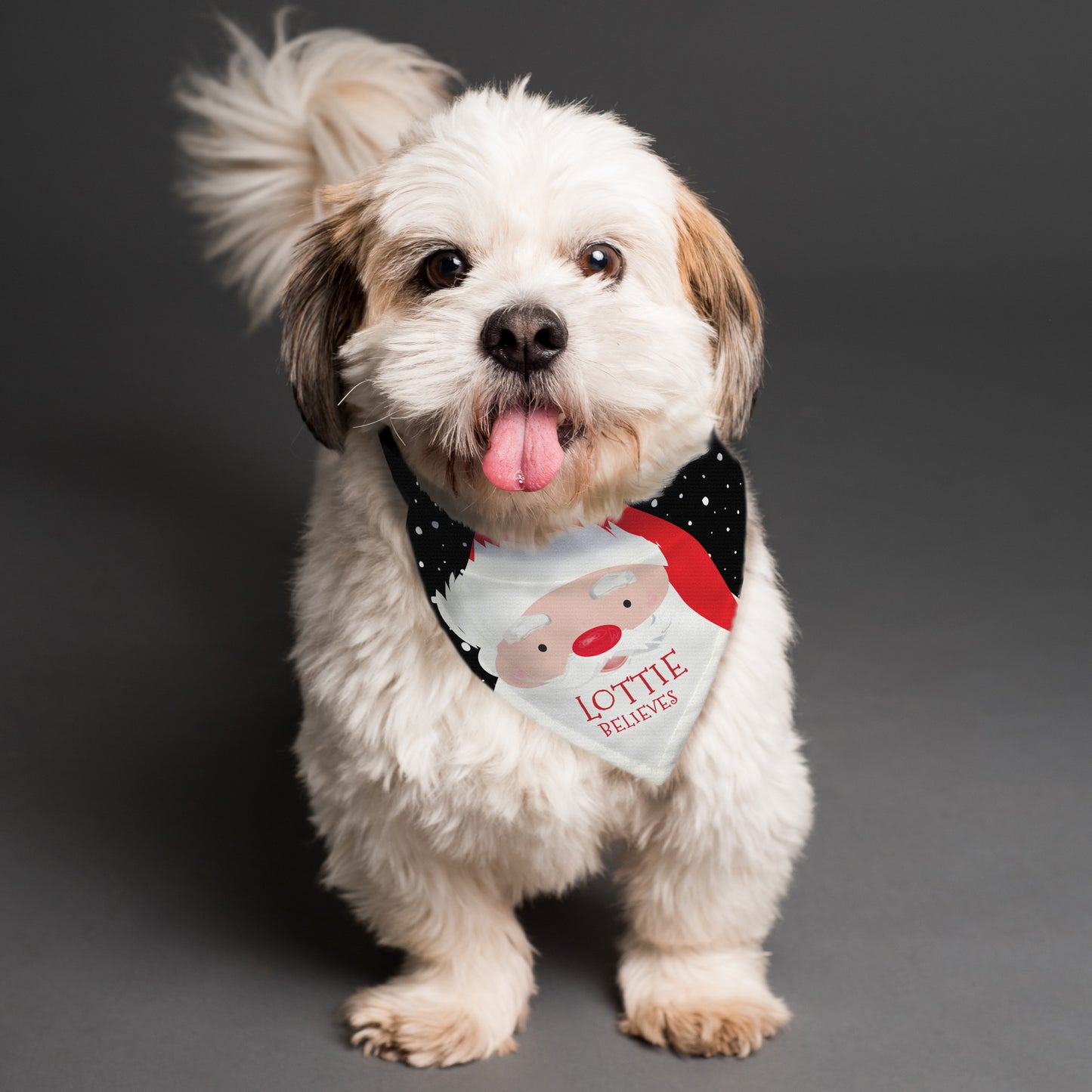 CHRISTMAS PET BANDANA