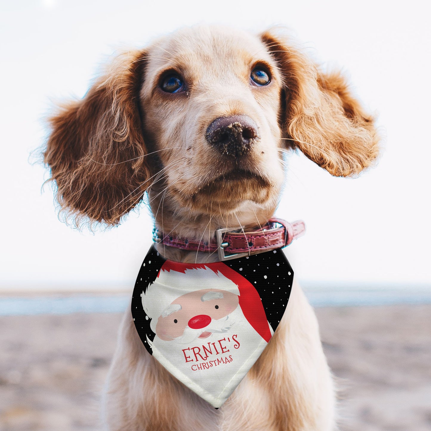 CHRISTMAS PET BANDANA
