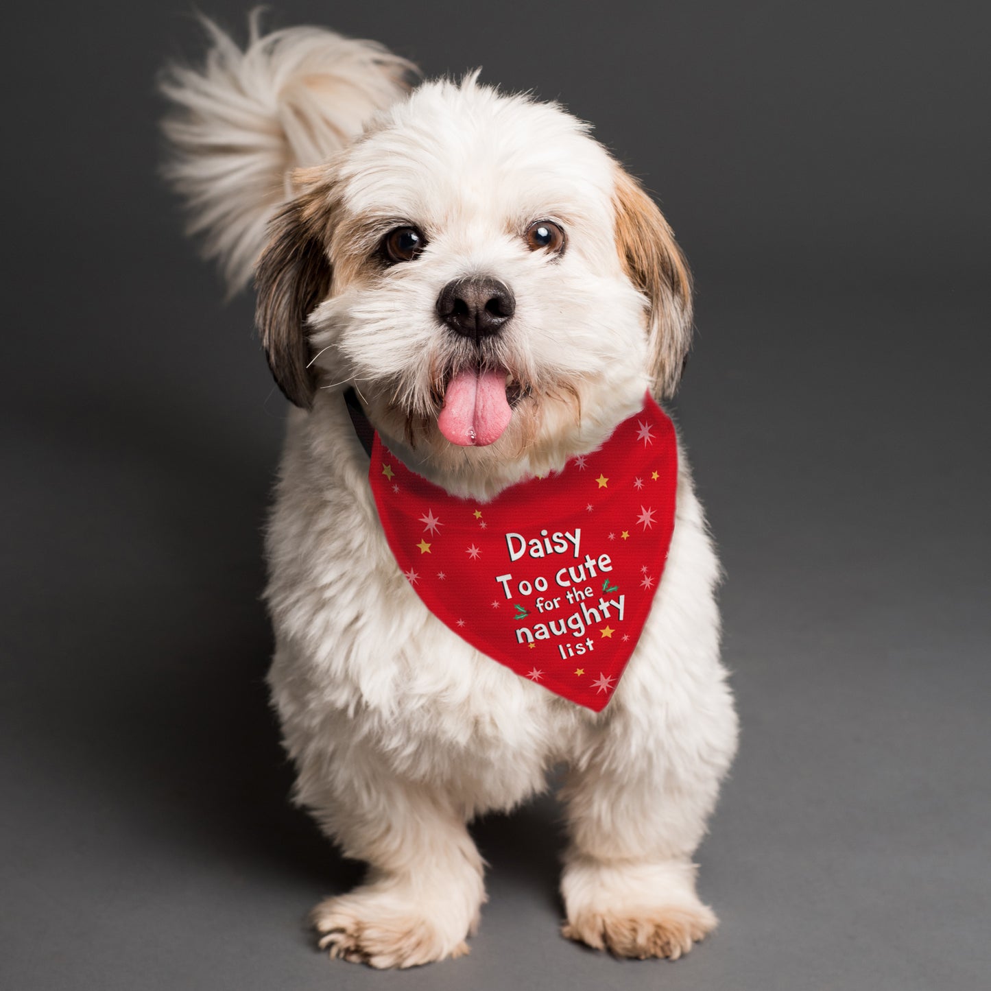 CHRISTMAS PET BANDANA