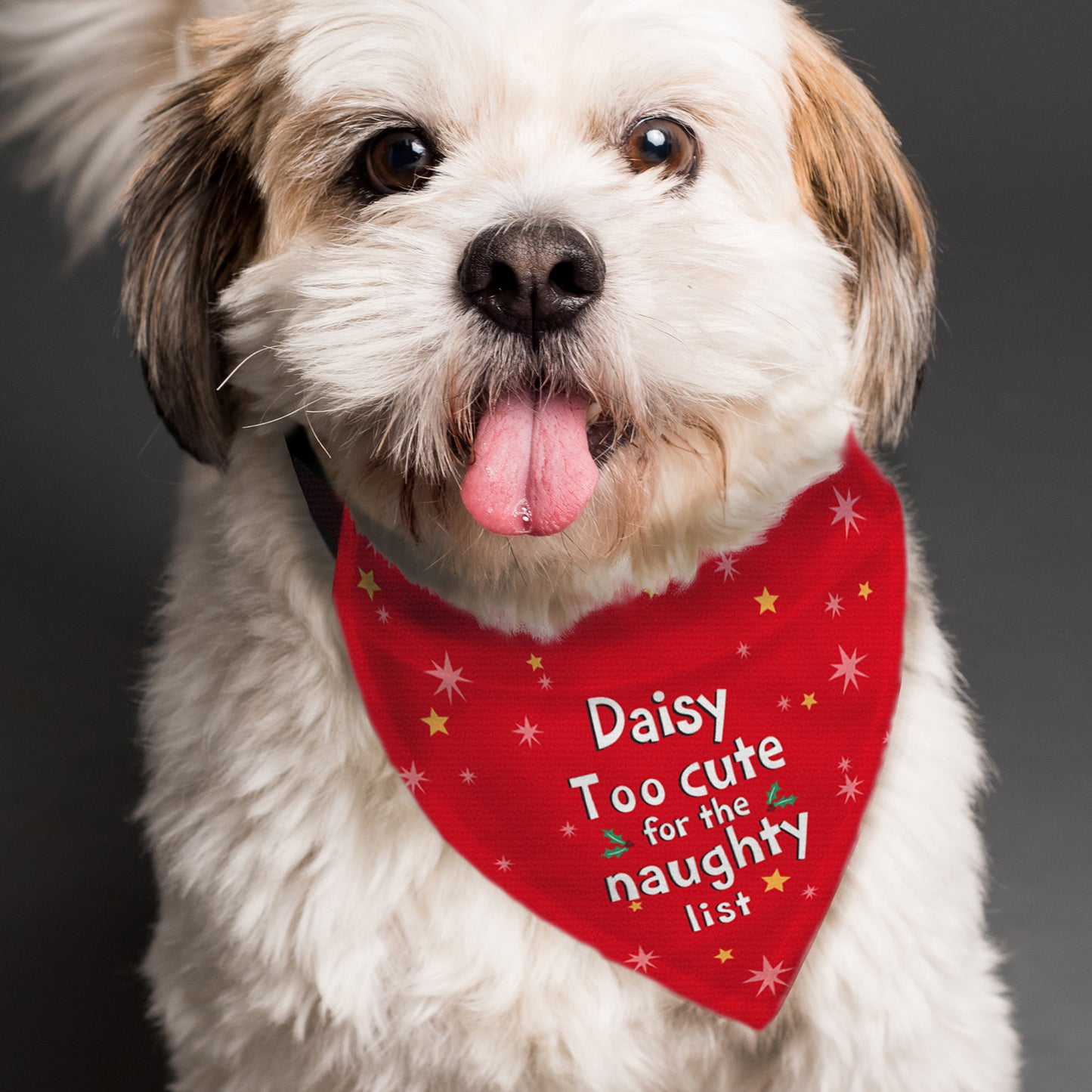 CHRISTMAS PET BANDANA