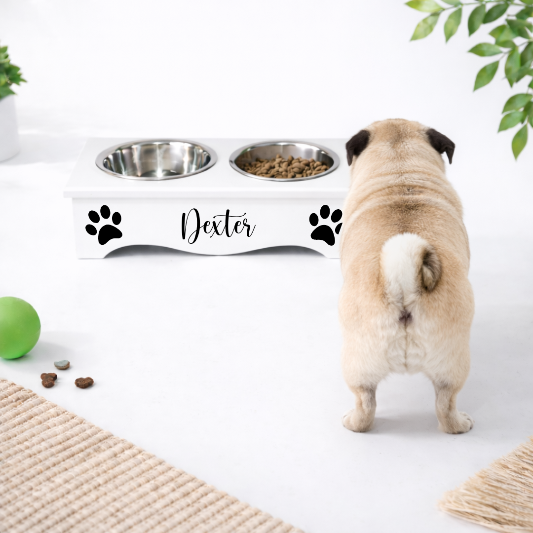 WHITE PET FEEDING STATION