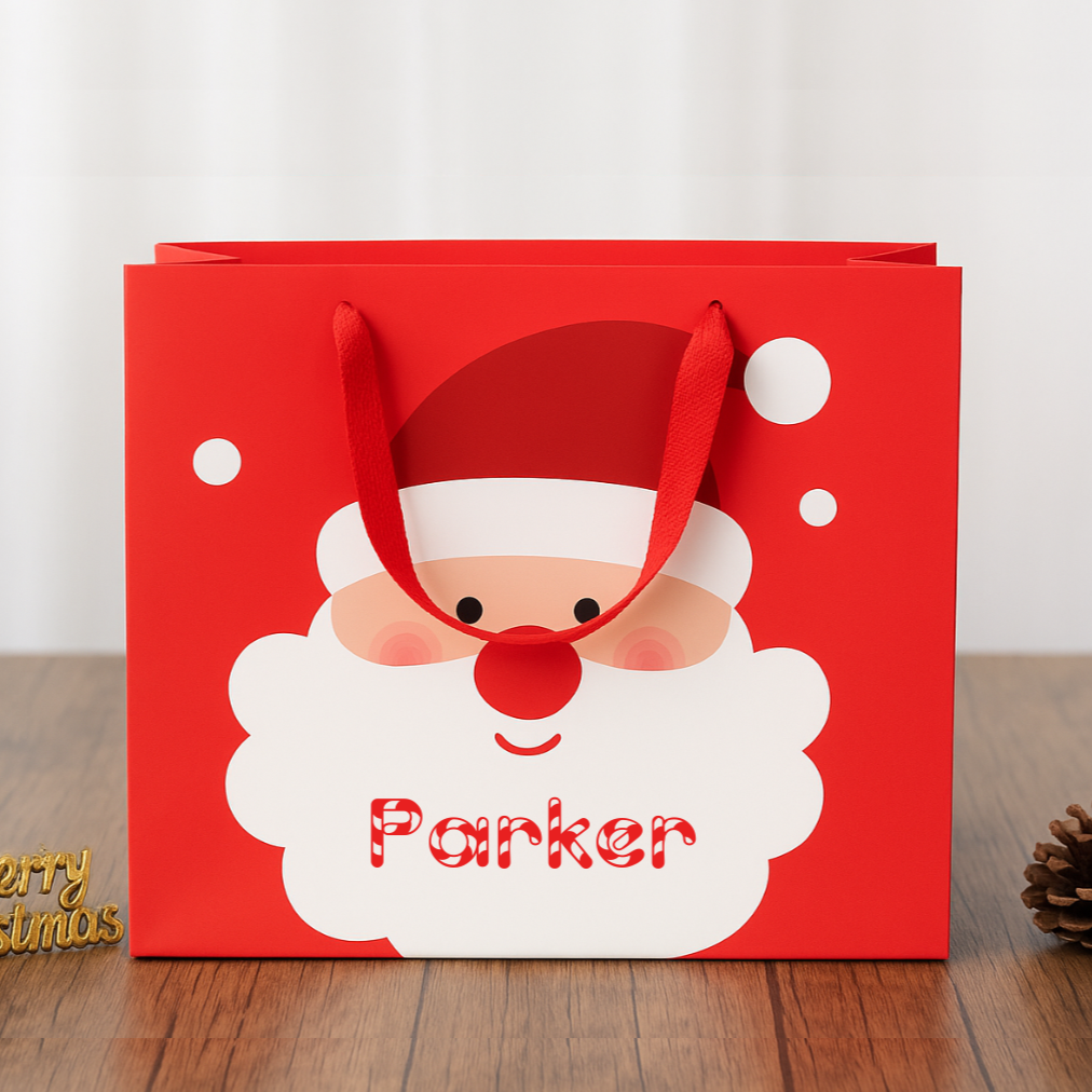 SANTA GIFT BAG