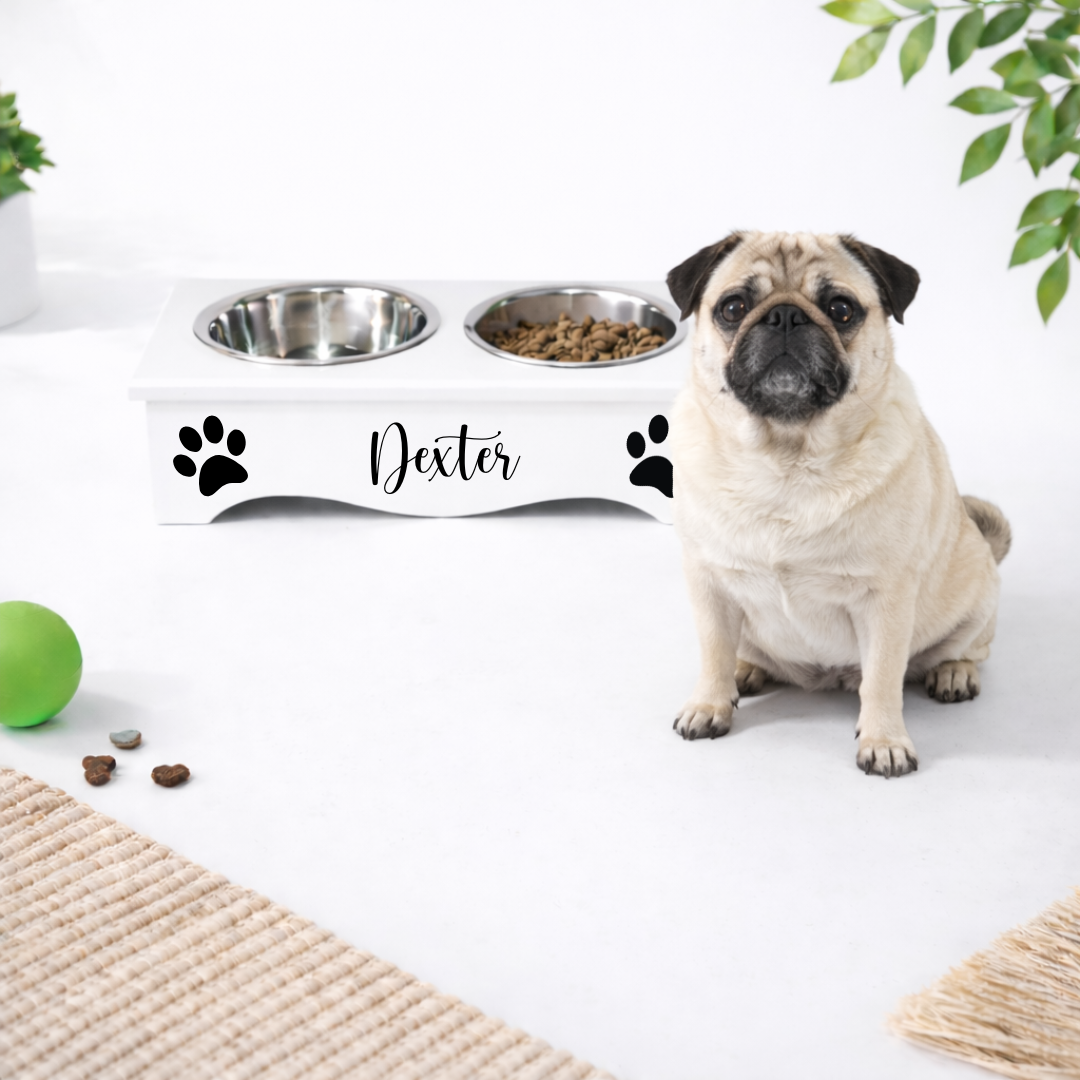 WHITE PET FEEDING STATION