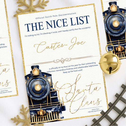 NAVY EXPRESS NICE LIST