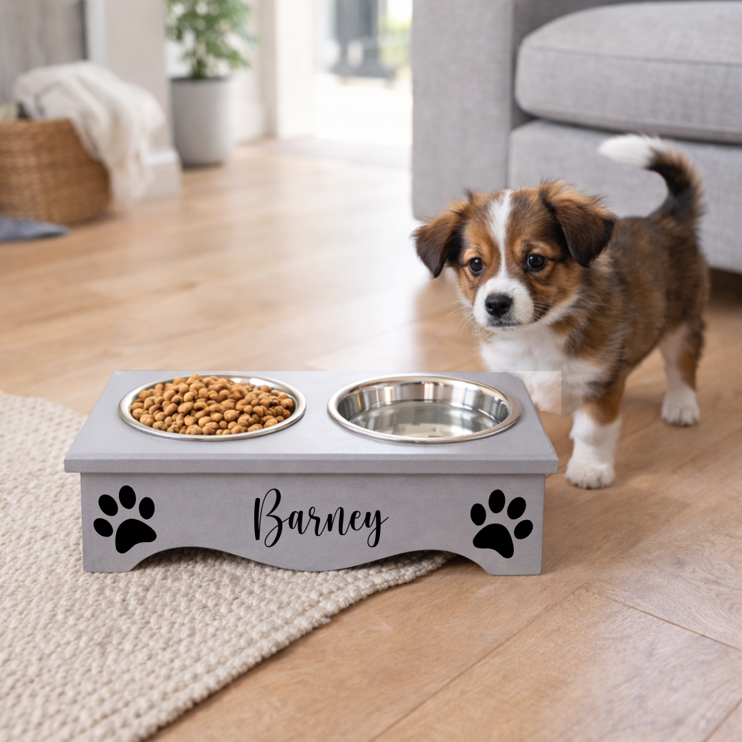 GREY PET FEEDING STATION