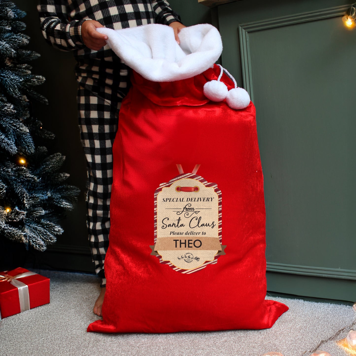 SPECIAL DELIVERY SACK
