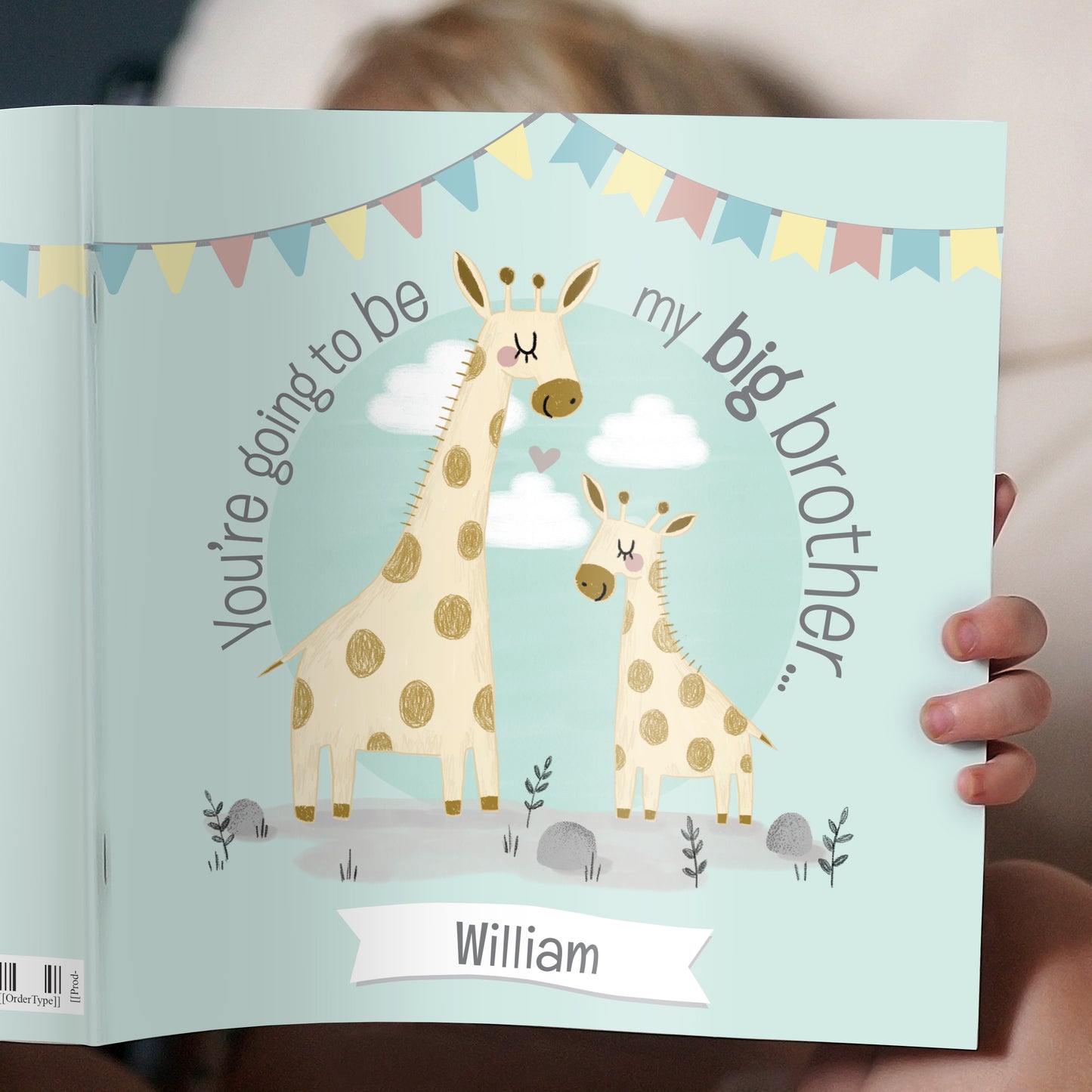 PERSONALISED BIG BROTHER STORY BOOK