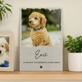 PET PHOTO SIGN