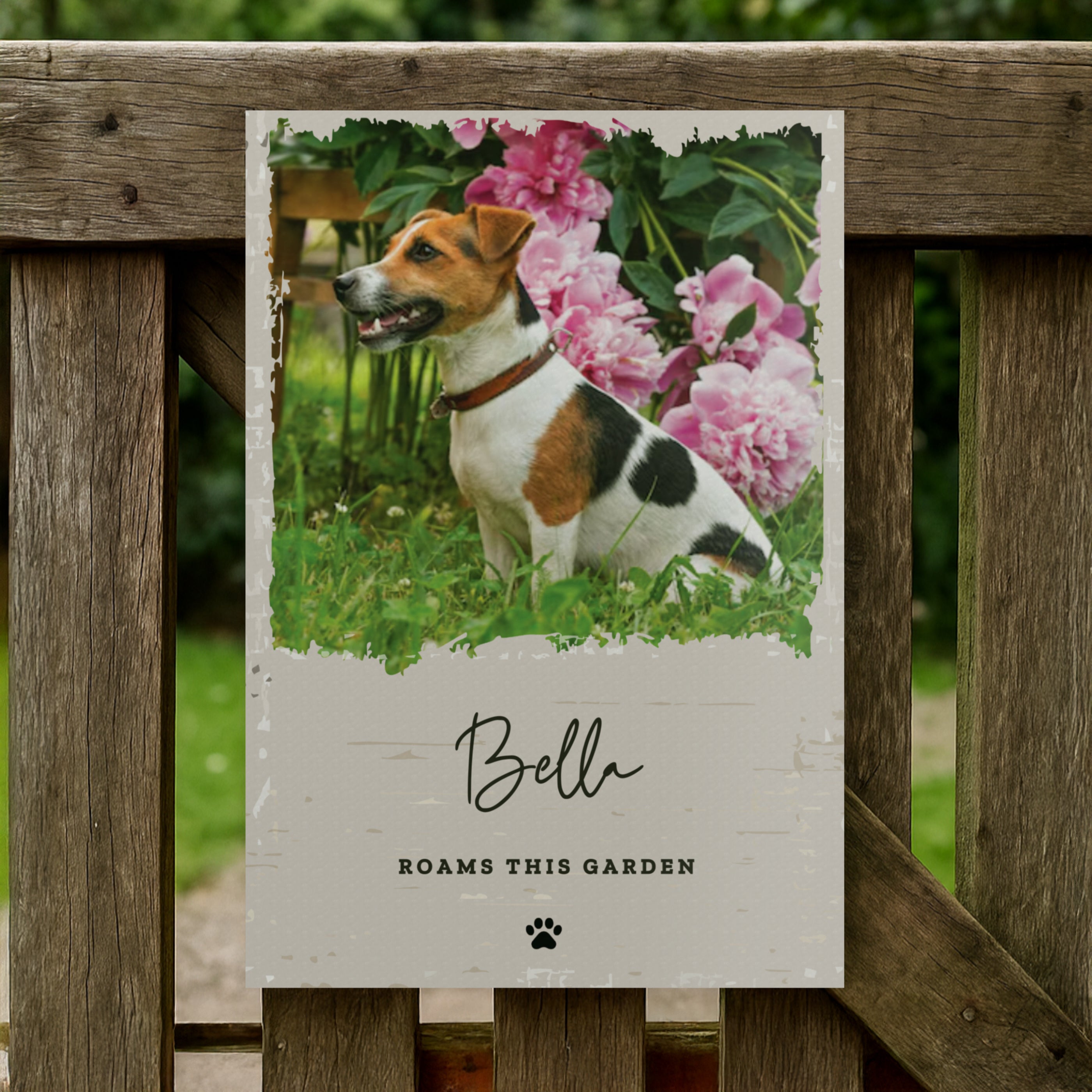PET PHOTO SIGN