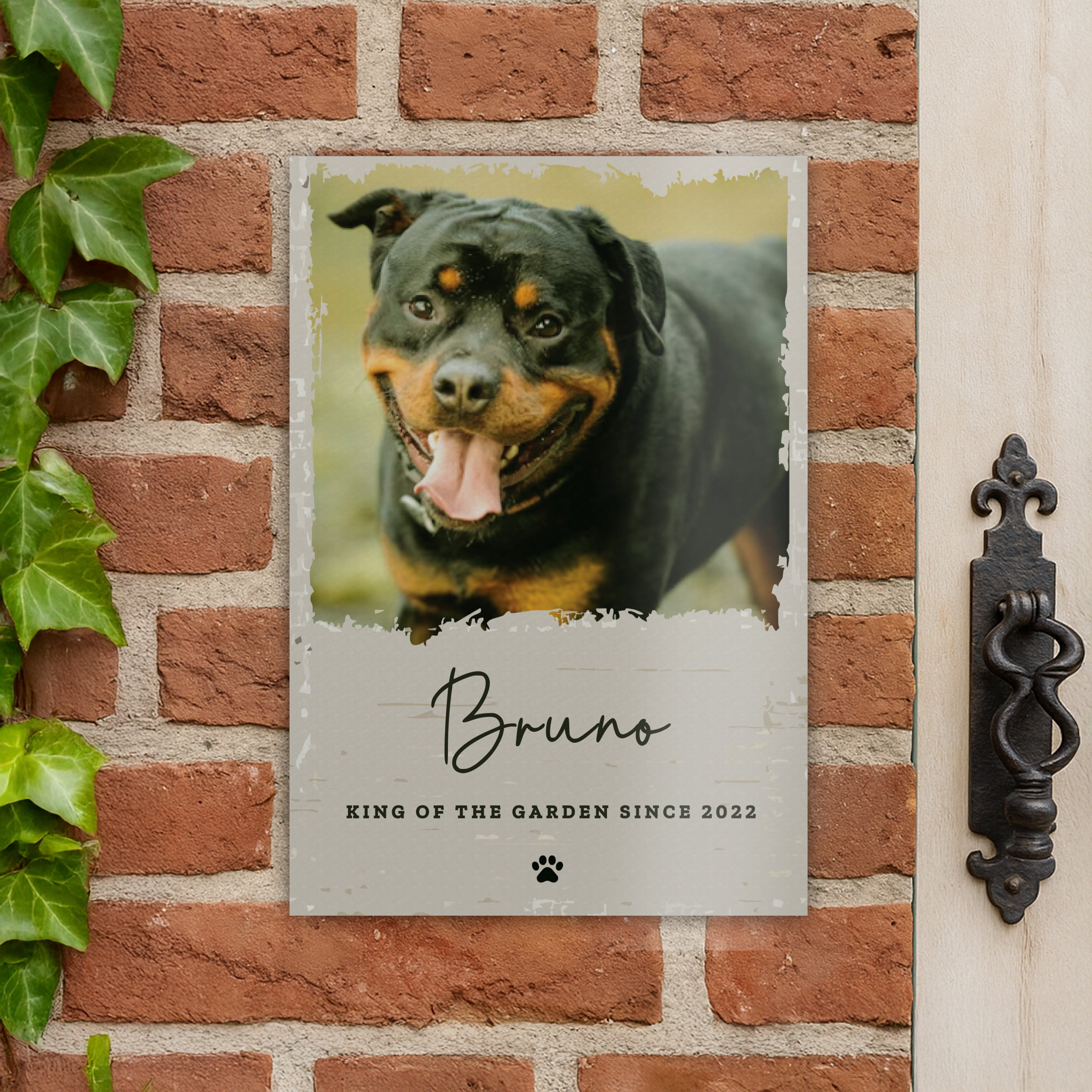 PET PHOTO SIGN