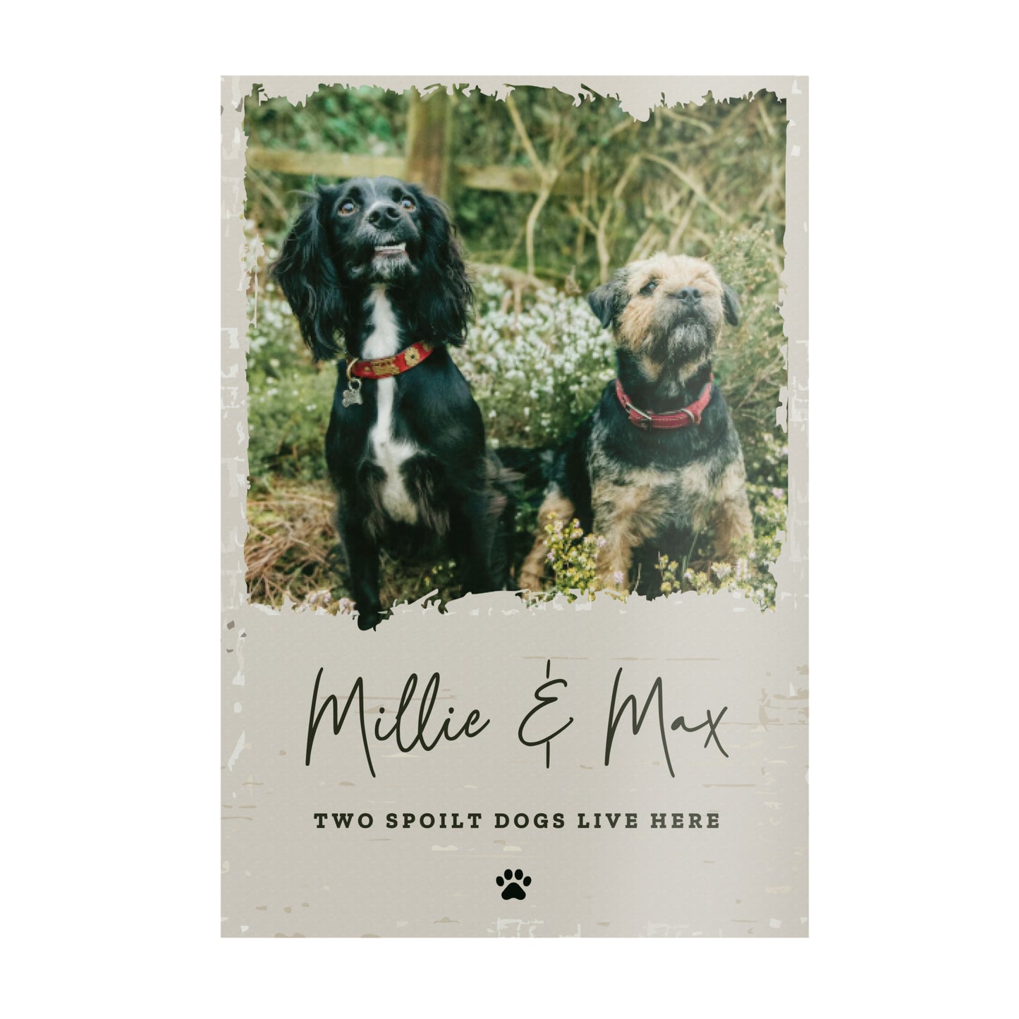 PET PHOTO SIGN