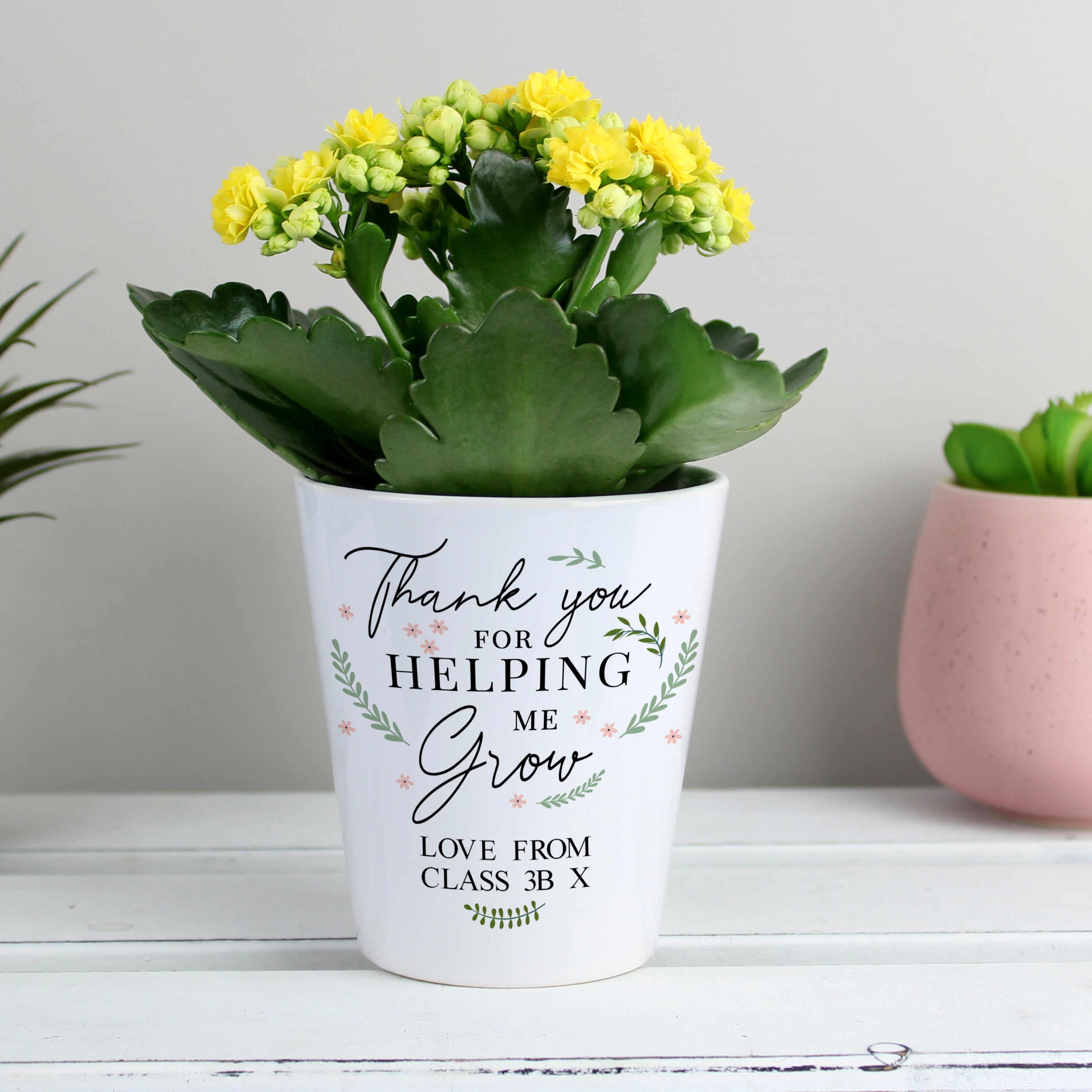 THANK YOU HELPING ME GROW PLANT POT