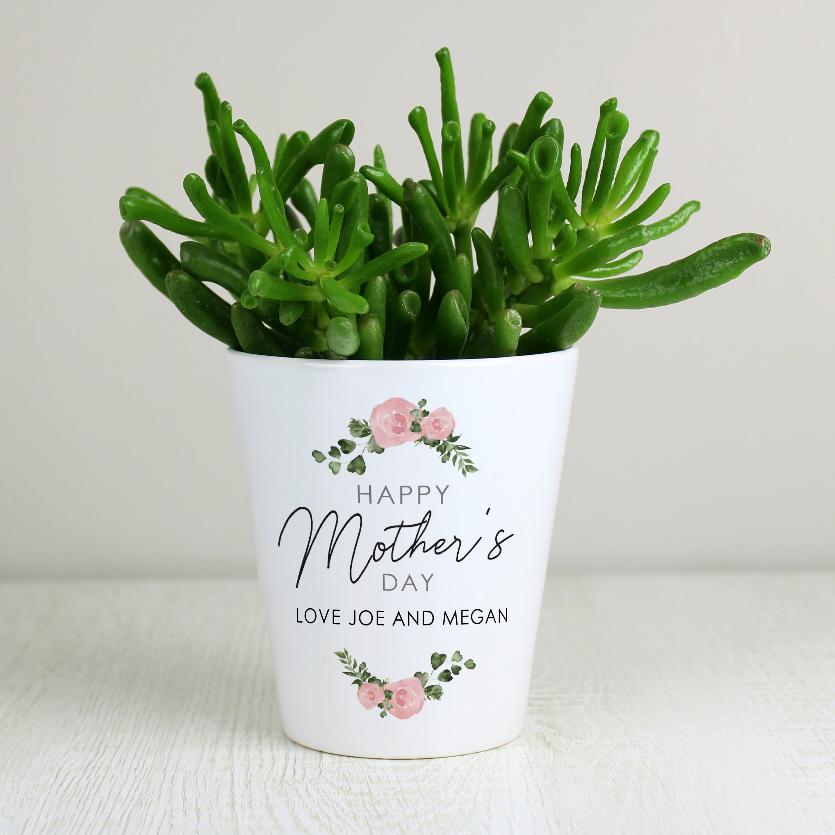 MOTHERS DAY PLANT POT
