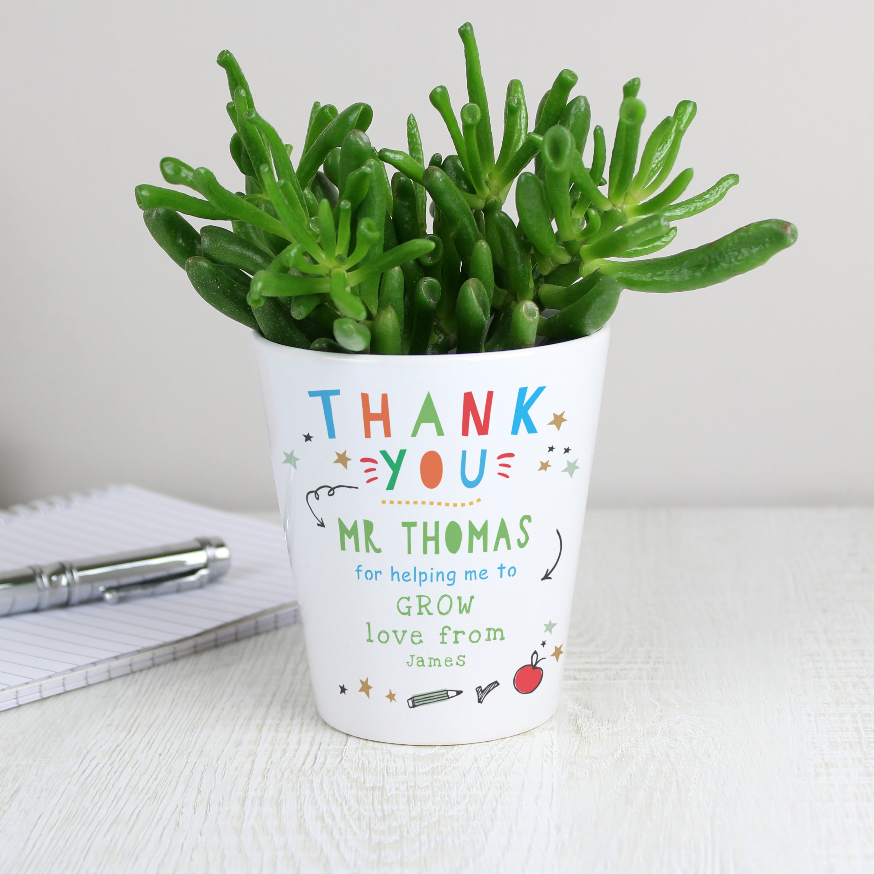 THANK YOU TEACHER PLANT POT