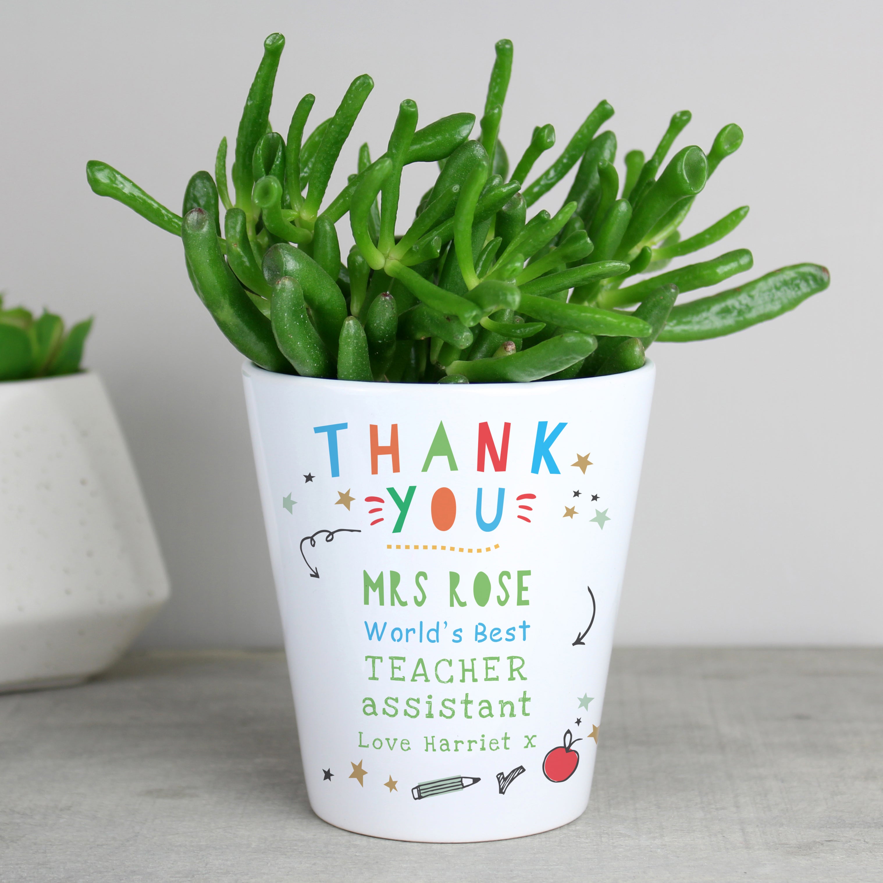 THANK YOU TEACHER PLANT POT