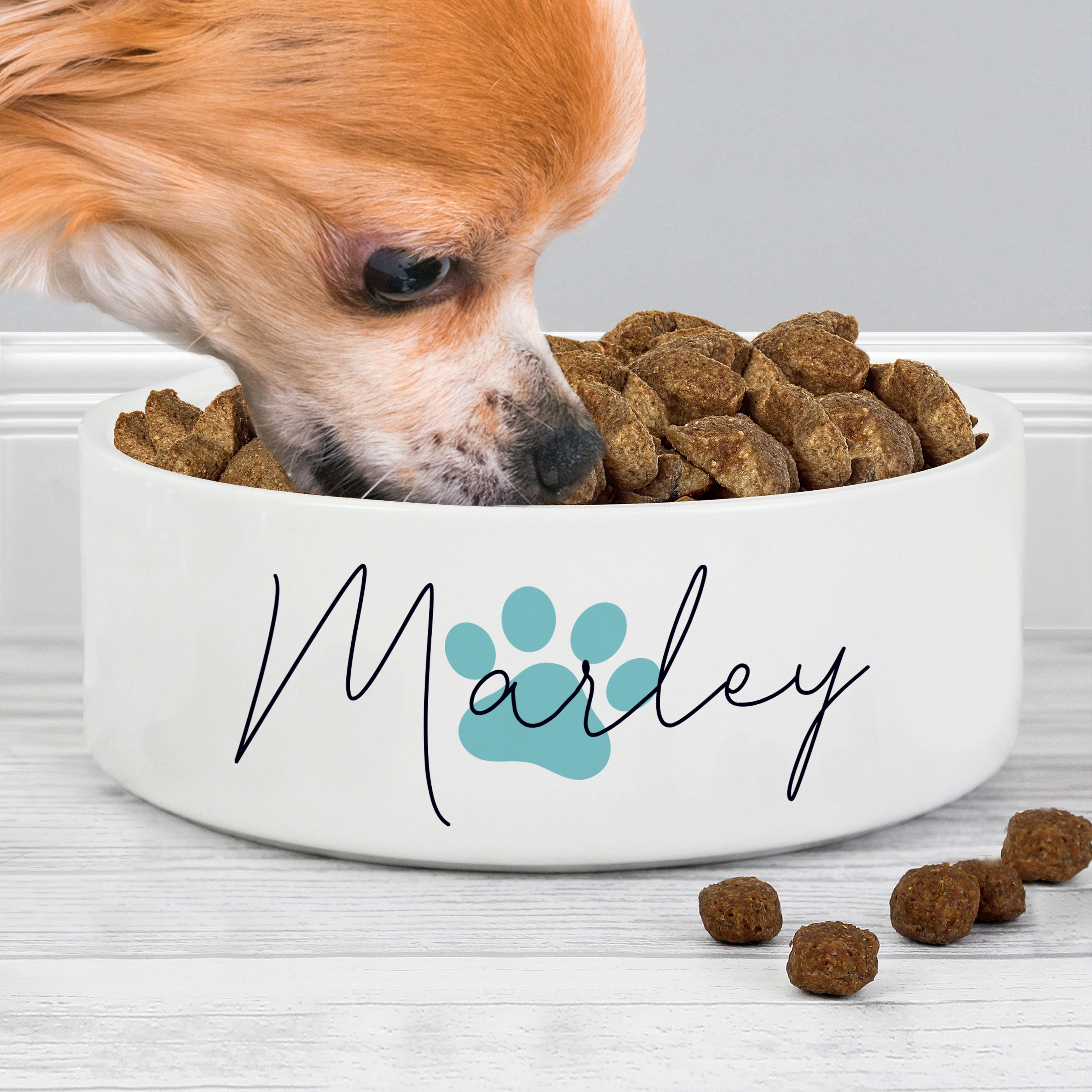 BLUE PAW PRINT PET BOWL