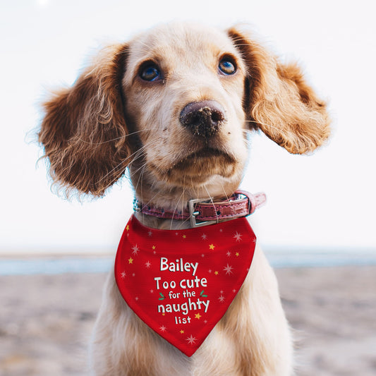 CHRISTMAS PET BANDANA