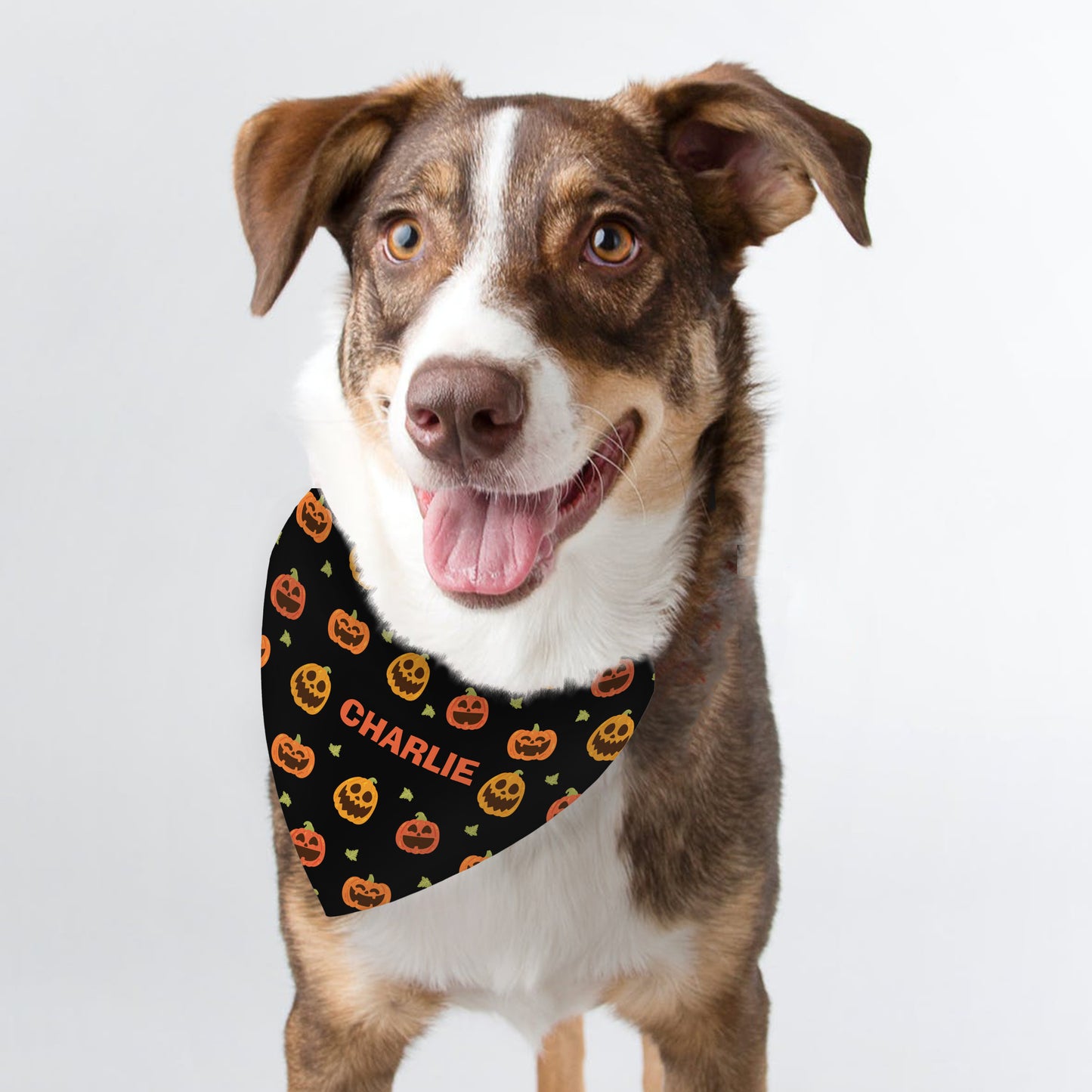 PUMPKIN DOG BANDANA
