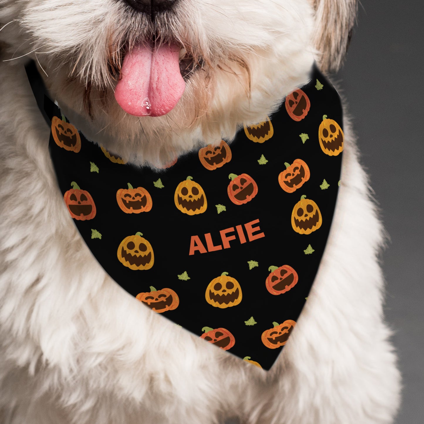 PUMPKIN DOG BANDANA
