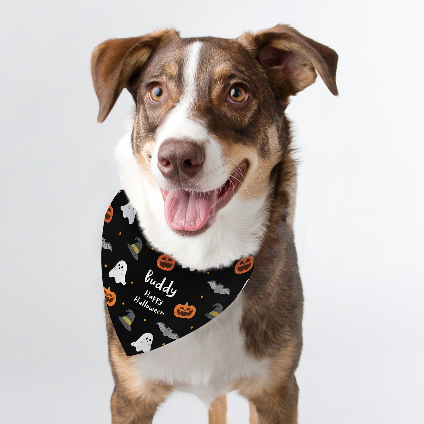 HALLOWEEN DOG BANDANA
