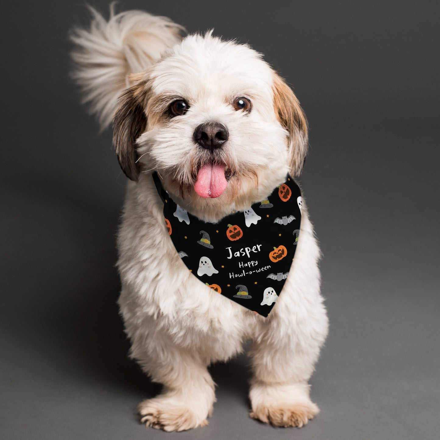 HALLOWEEN DOG BANDANA