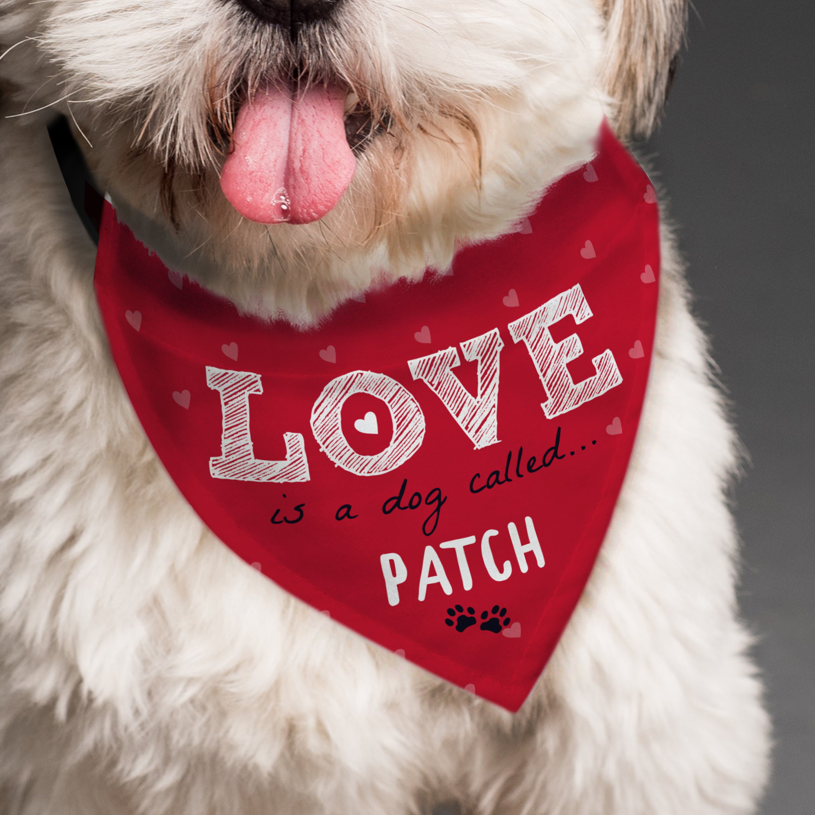 LOVE IS A DOG BANDANA