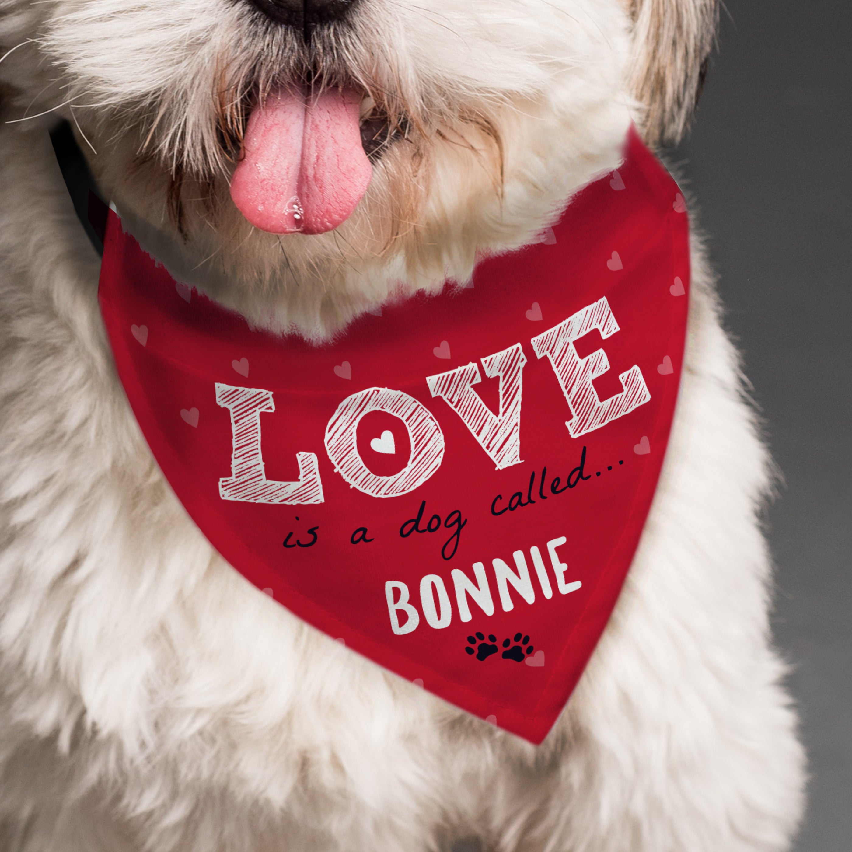 LOVE IS A DOG BANDANA