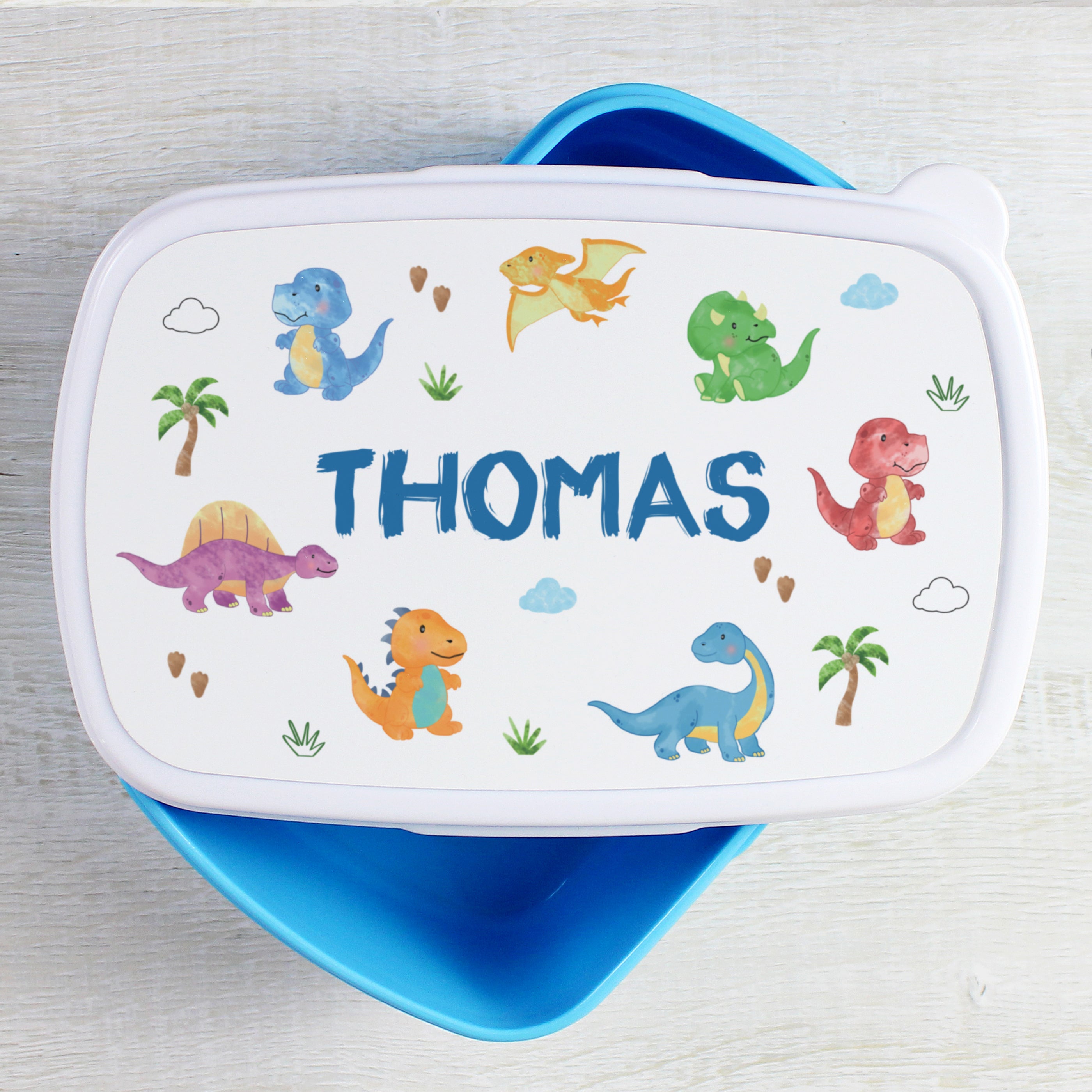 BLUE DINOSAUR LUNCH BOX